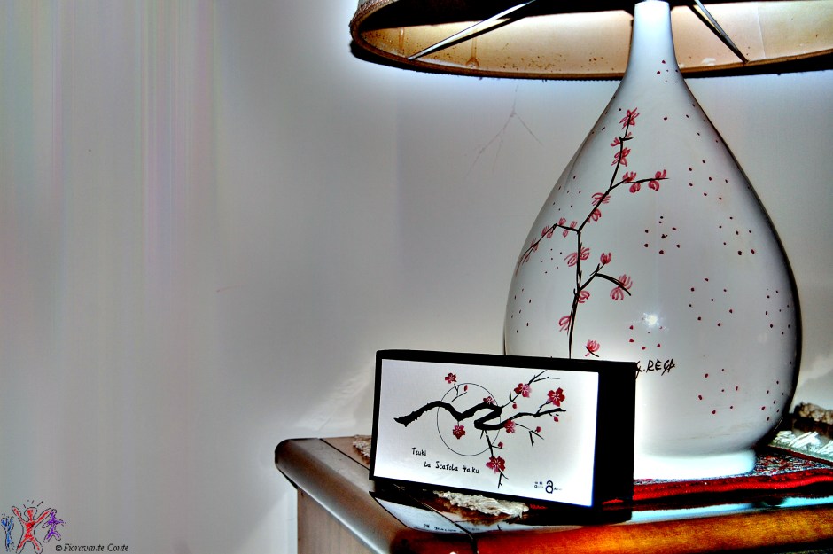 Tsuki, la scatola Haiku