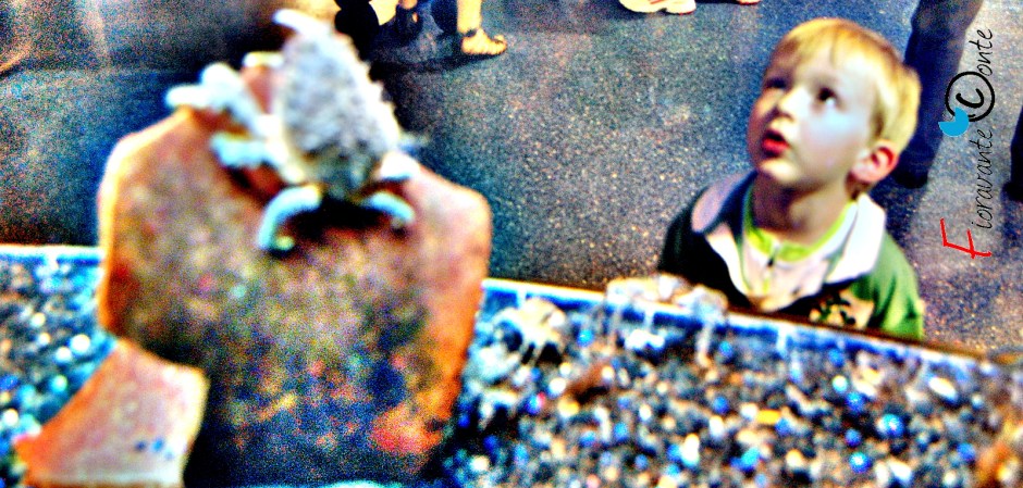 Acquarium Finisterrae, La Coruña