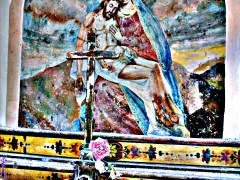 FioreVagabondO in CampaniA: Pietravairano