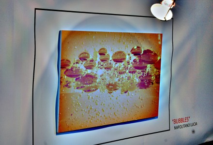 Bubbles, Lucia NApolitano