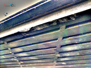 Roghi di rifiuti nero di cavalcavia Polvica Nola